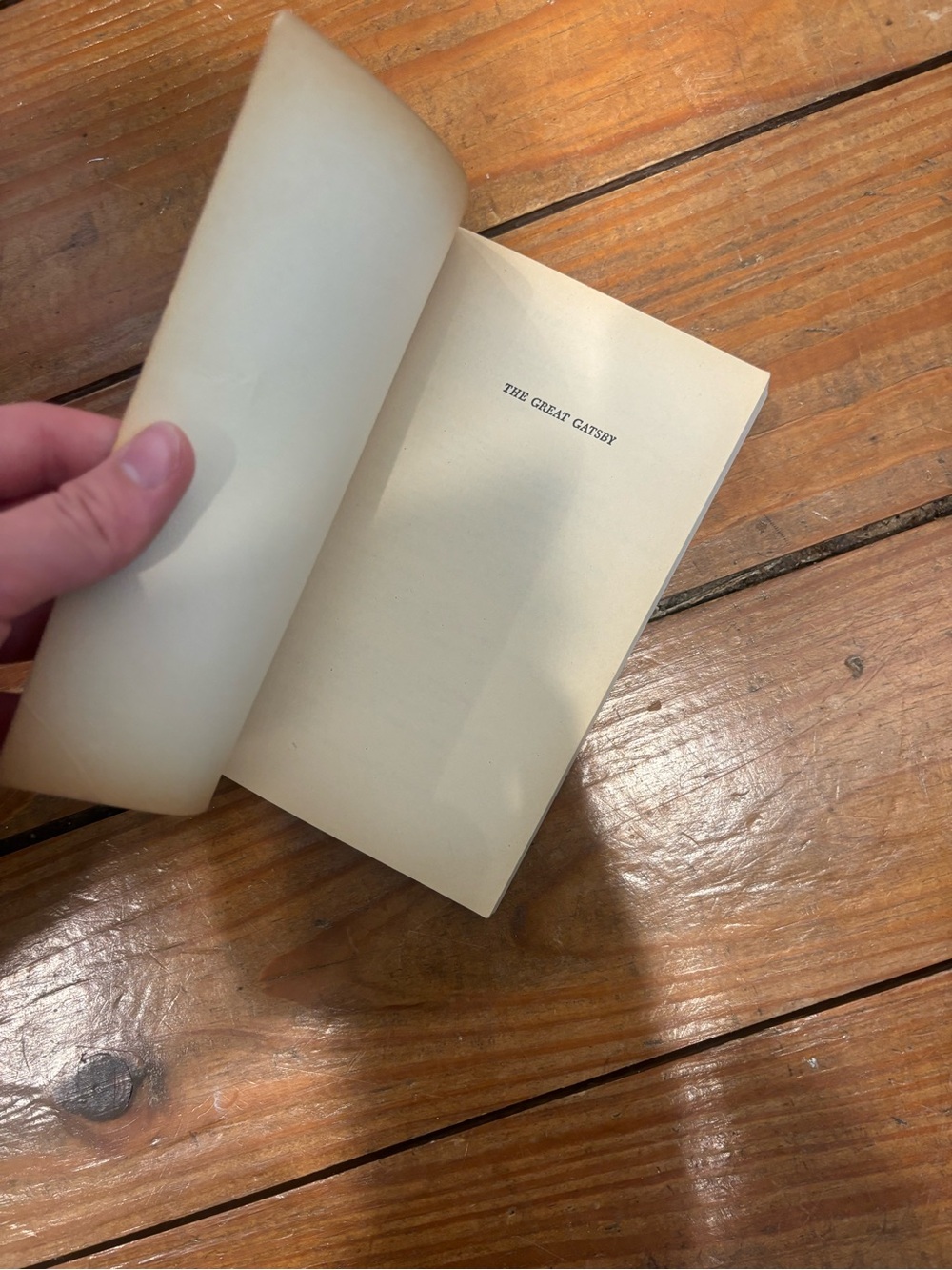 (387) THE GREAT GATSBY BOOK - Picture 6 of 9